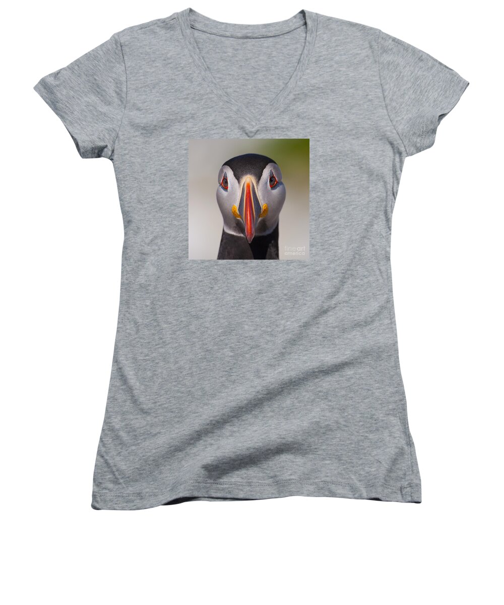 Machias Seal Island Women's V-Neck featuring the photograph Mr. Puffin.. by Nina Stavlund