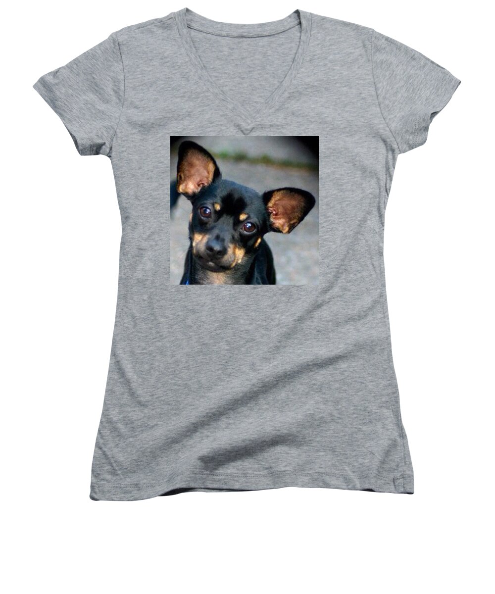Pet Women's V-Neck featuring the photograph My Adorable Pepper Pup by Anna Porter
