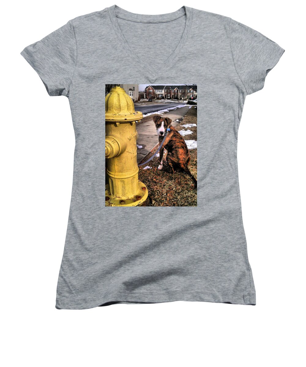 Dogs Women's V-Neck featuring the photograph My Friend Plug by Robert McCubbin