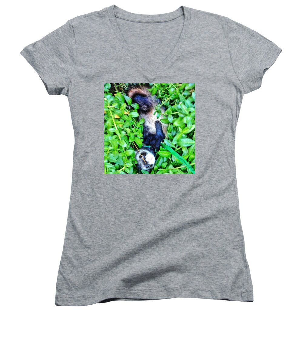 Ferrets Women's V-Neck featuring the photograph Nicky Ferret On A Garden Walk by Anna Porter