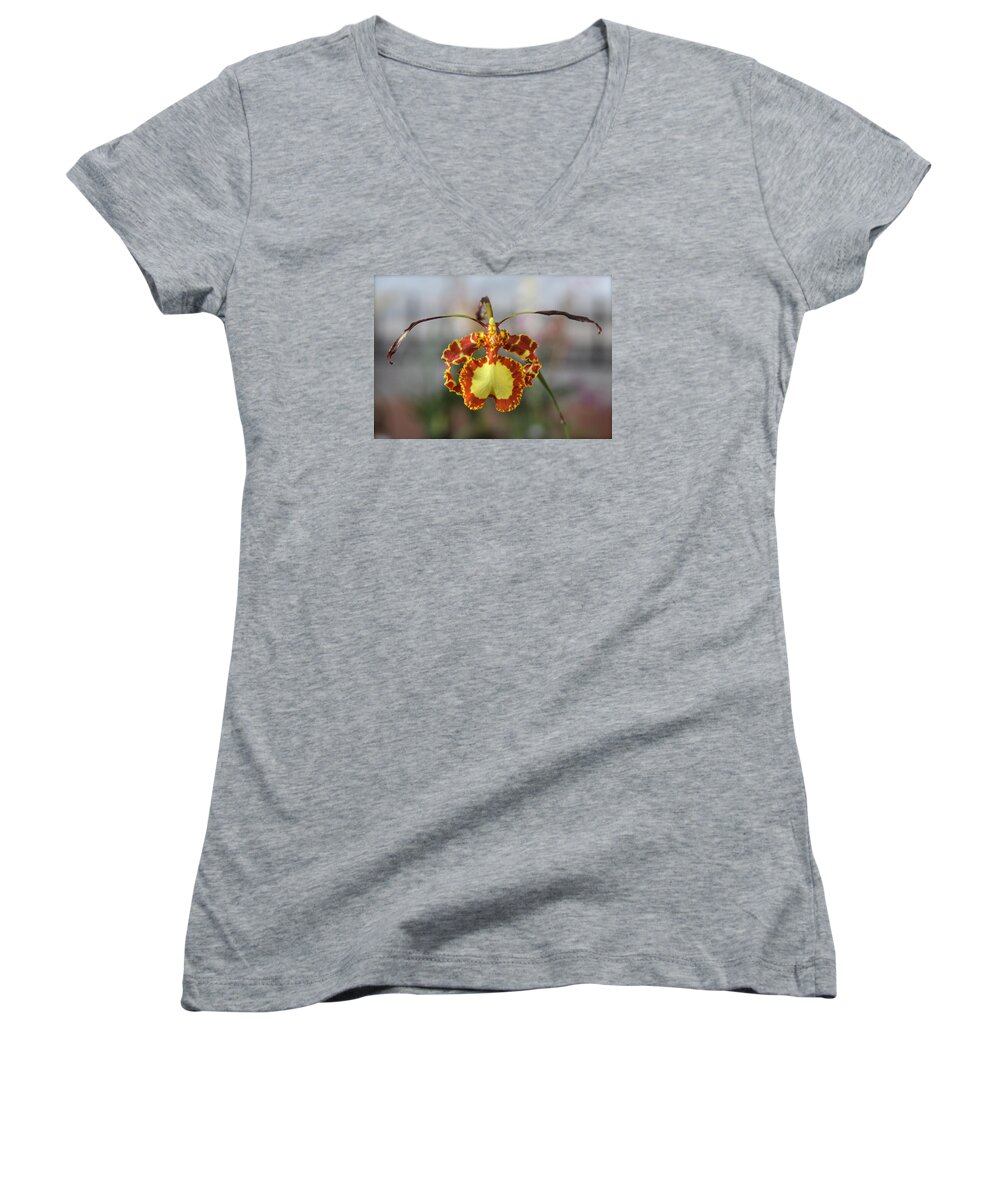 Orchid Women's V-Neck featuring the photograph Oncidium Dancing Lady by Venetia Featherstone-Witty