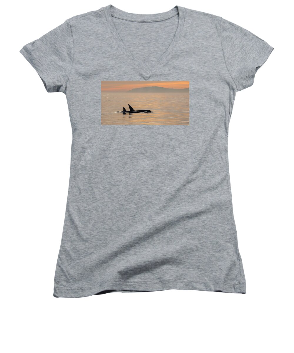 Orca Women's V-Neck featuring the photograph Orcas off the California Coast by Cliff Wassmann