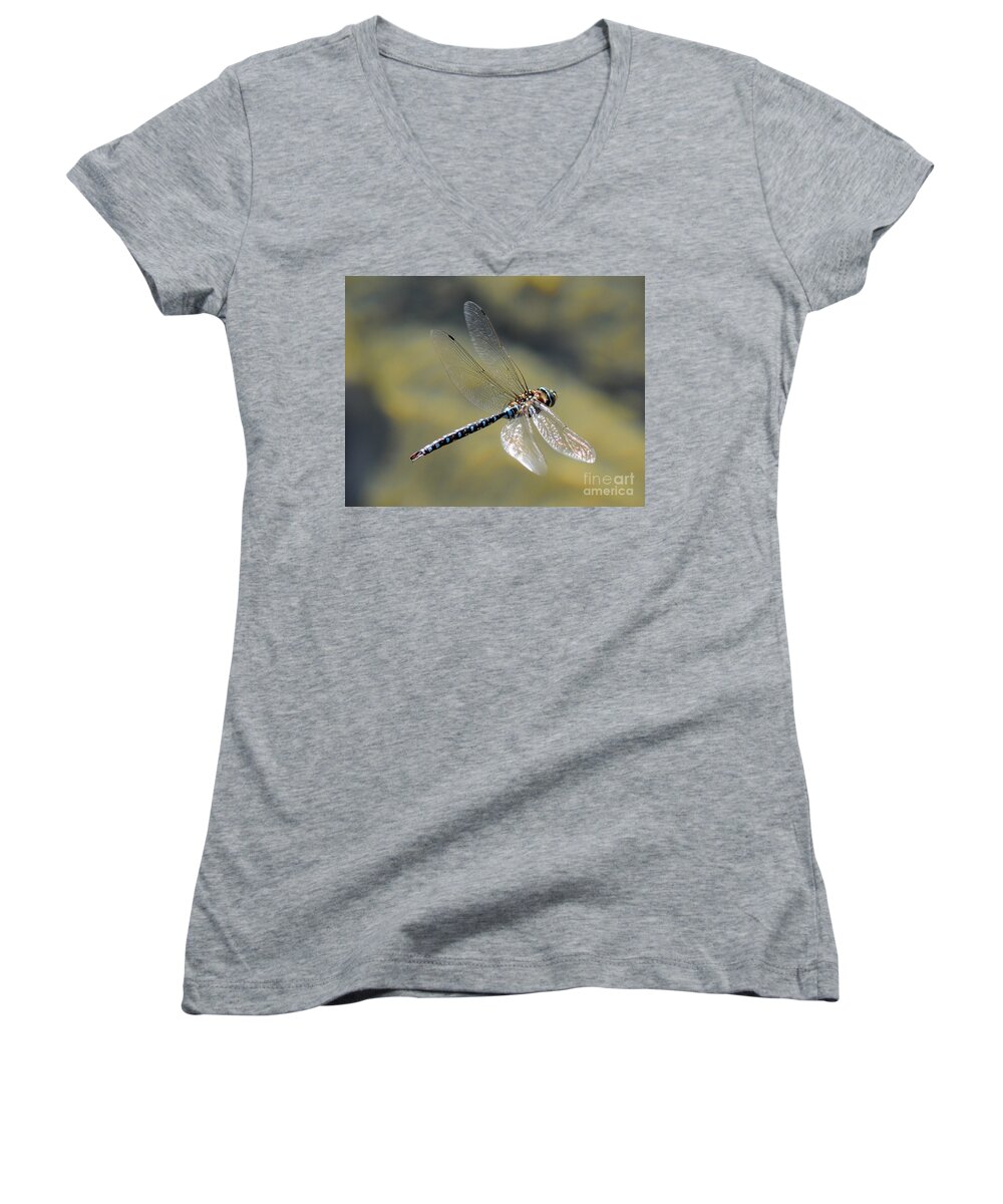 Wildlife Women's V-Neck featuring the photograph Paddletail Darner in Flight by Vivian Christopher