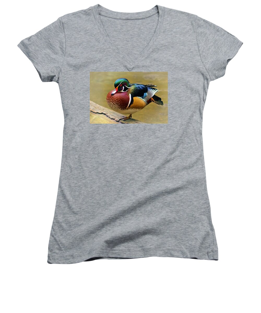 Painted Wood Duck Women's V-Neck featuring the photograph Painted Wood Duck by Wes and Dotty Weber