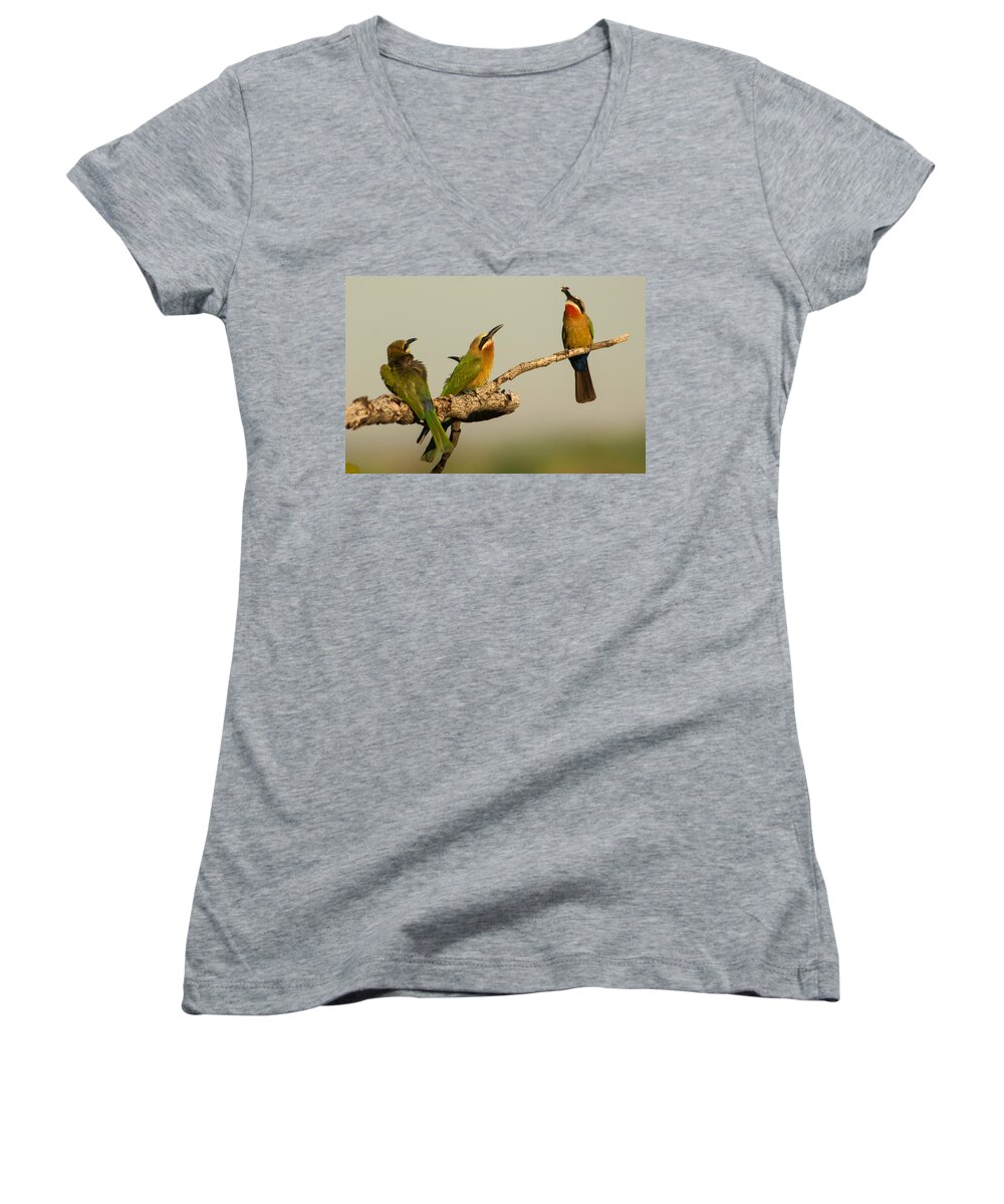 Africa Women's V-Neck featuring the photograph Pass the bee by Alistair Lyne