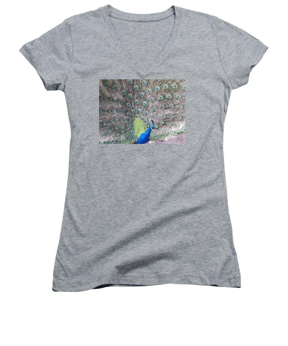 Peacock Women's V-Neck featuring the photograph Peacock Bow by Caryl J Bohn
