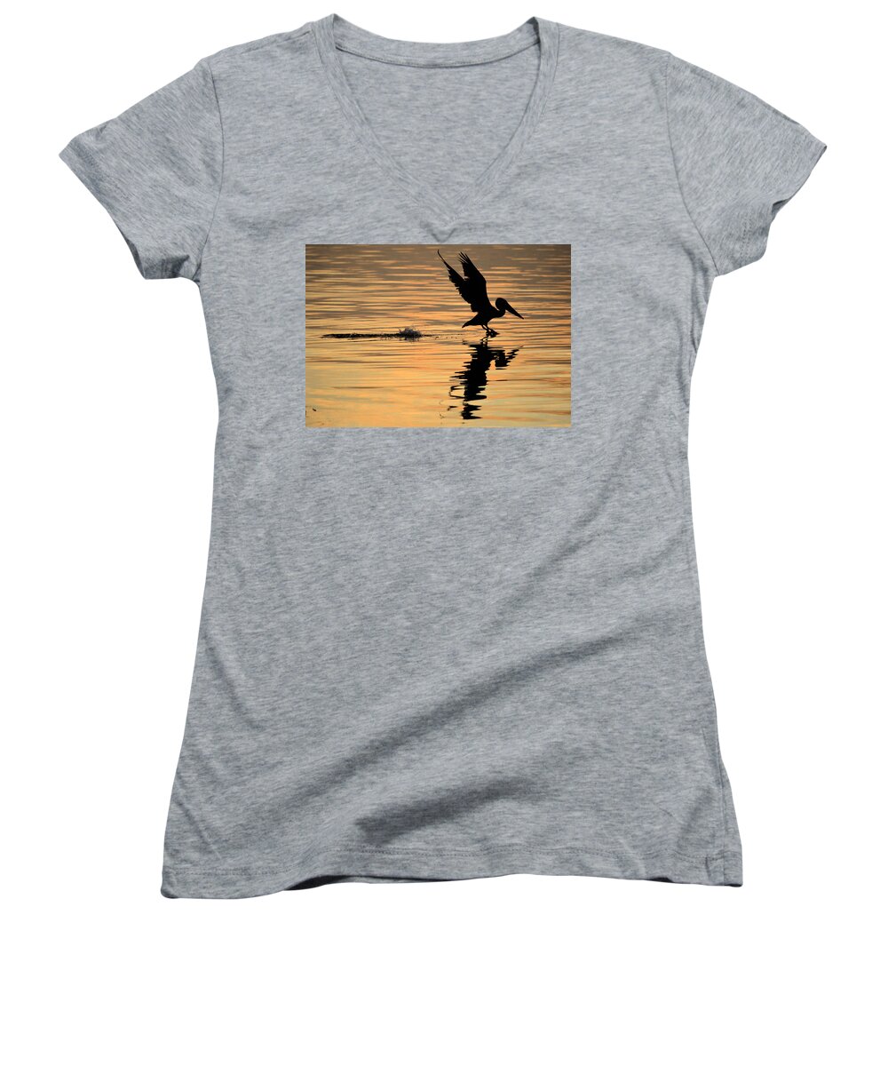 Water Women's V-Neck featuring the photograph Pelican at Sunrise by Leticia Latocki