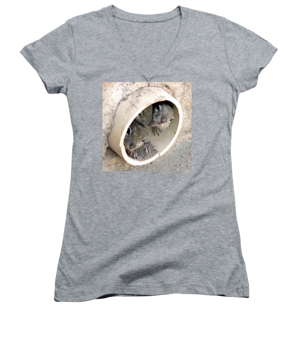 Animals Women's V-Neck featuring the photograph Playing in a Pipe by Laurel Powell