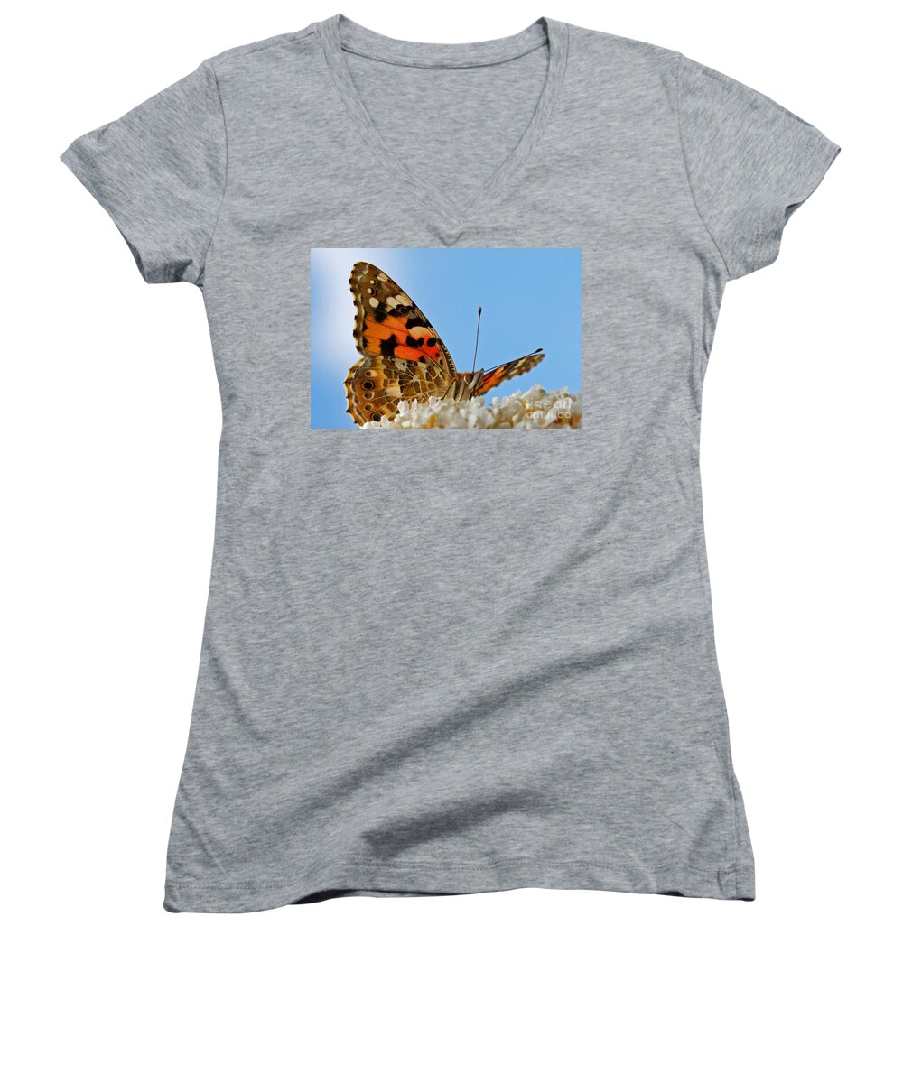 Portrait Women's V-Neck featuring the photograph Portrait of a butterfly by Nick Biemans