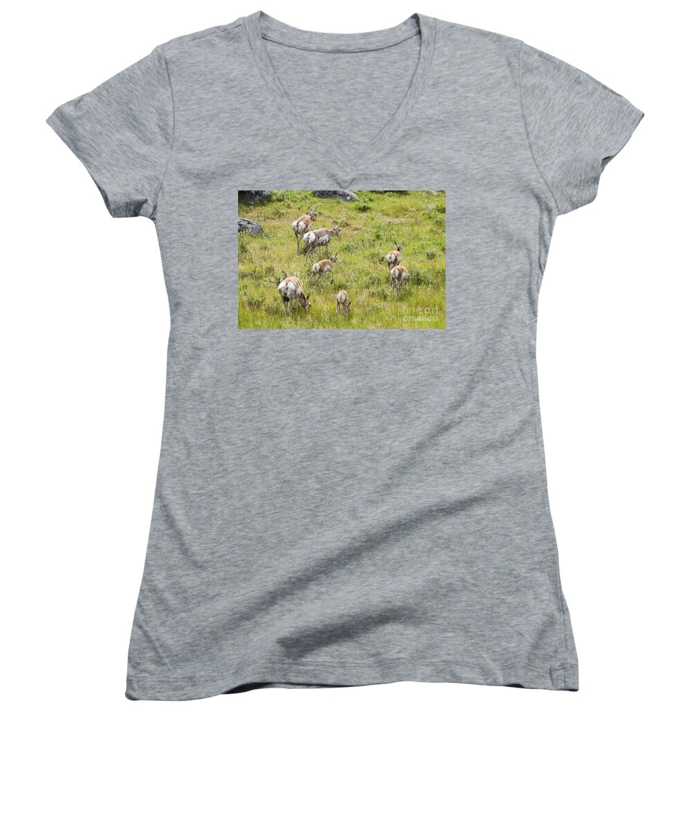 Pronghorn Antelope Women's V-Neck featuring the photograph Pronghorn Antelope in Lamar Valley by Belinda Greb