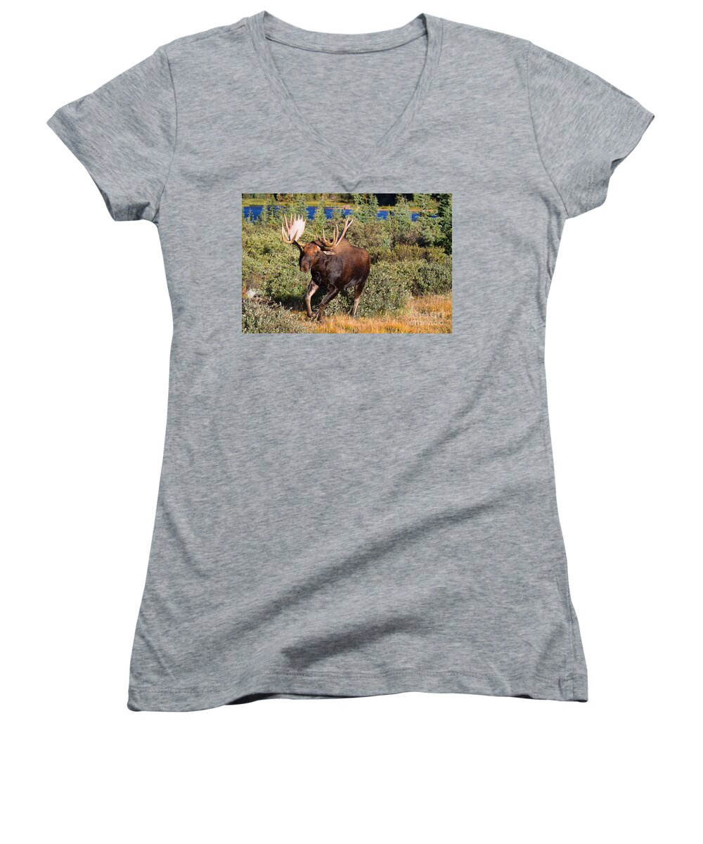 Moose Women's V-Neck featuring the photograph Charging Bull by Jim Garrison