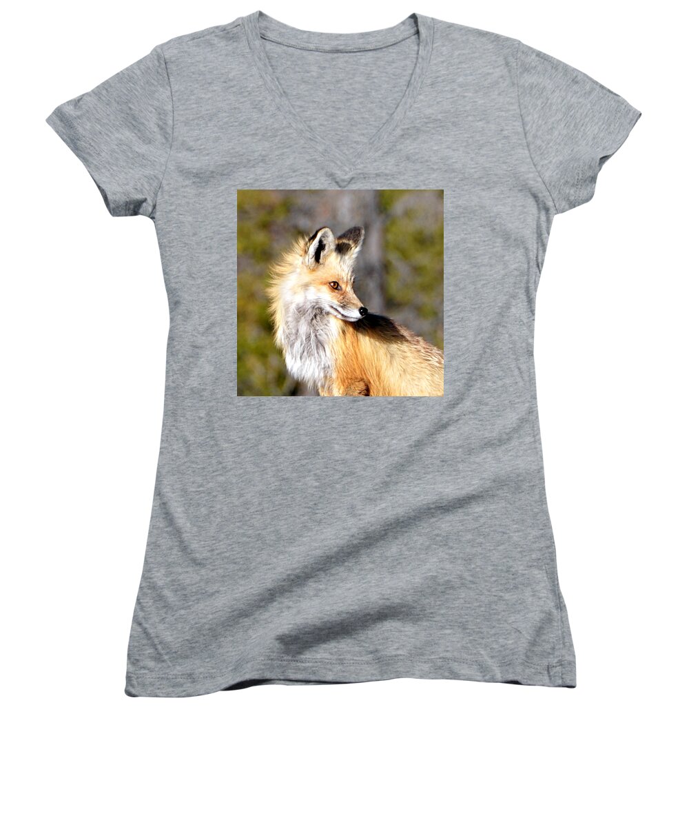 Red Women's V-Neck featuring the photograph Red Fox Face by Tranquil Light Photography