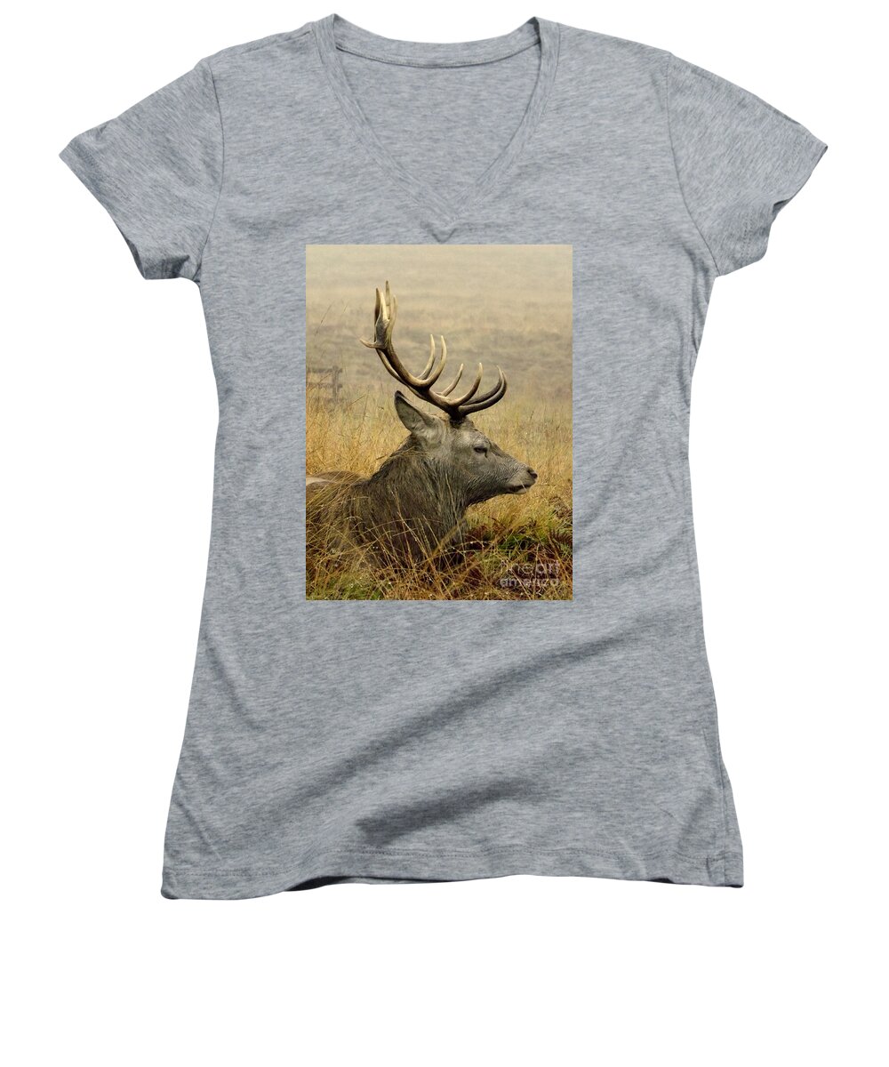 Bradgate Park Women's V-Neck featuring the photograph Resting stag by Linsey Williams
