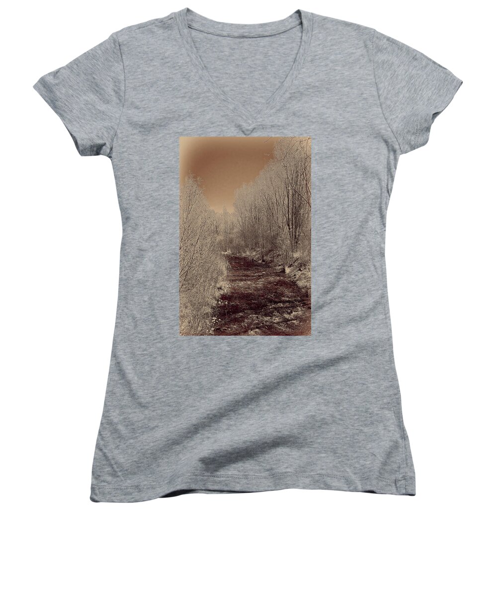  Rio Women's V-Neck featuring the photograph Rio Taos Bosque IV by Charles Muhle