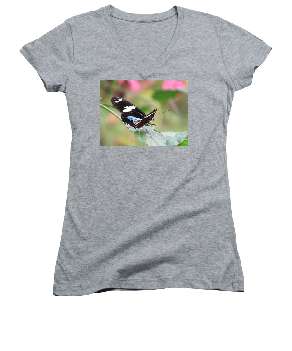 Blue Morpho Butterfly Women's V-Neck featuring the photograph Sara Butterfly on Leaf by MTBobbins Photography