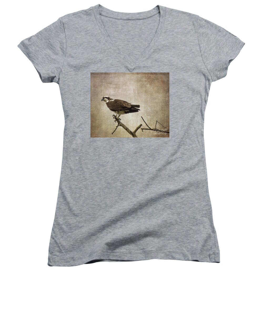 Bird Women's V-Neck featuring the photograph Scouting by Judy Wolinsky