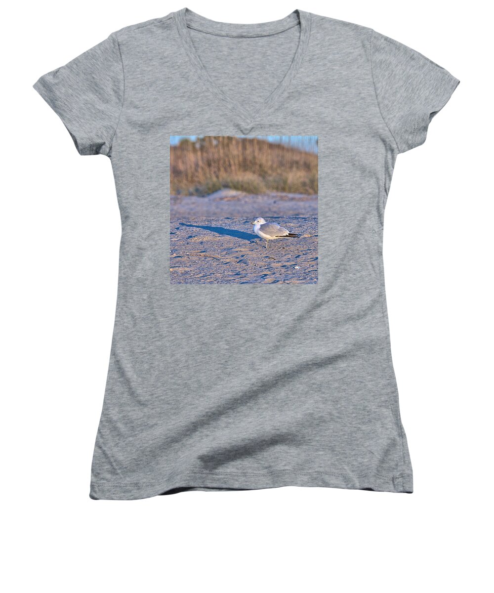 9672 Women's V-Neck featuring the photograph Seagull at Sunrise by Gordon Elwell