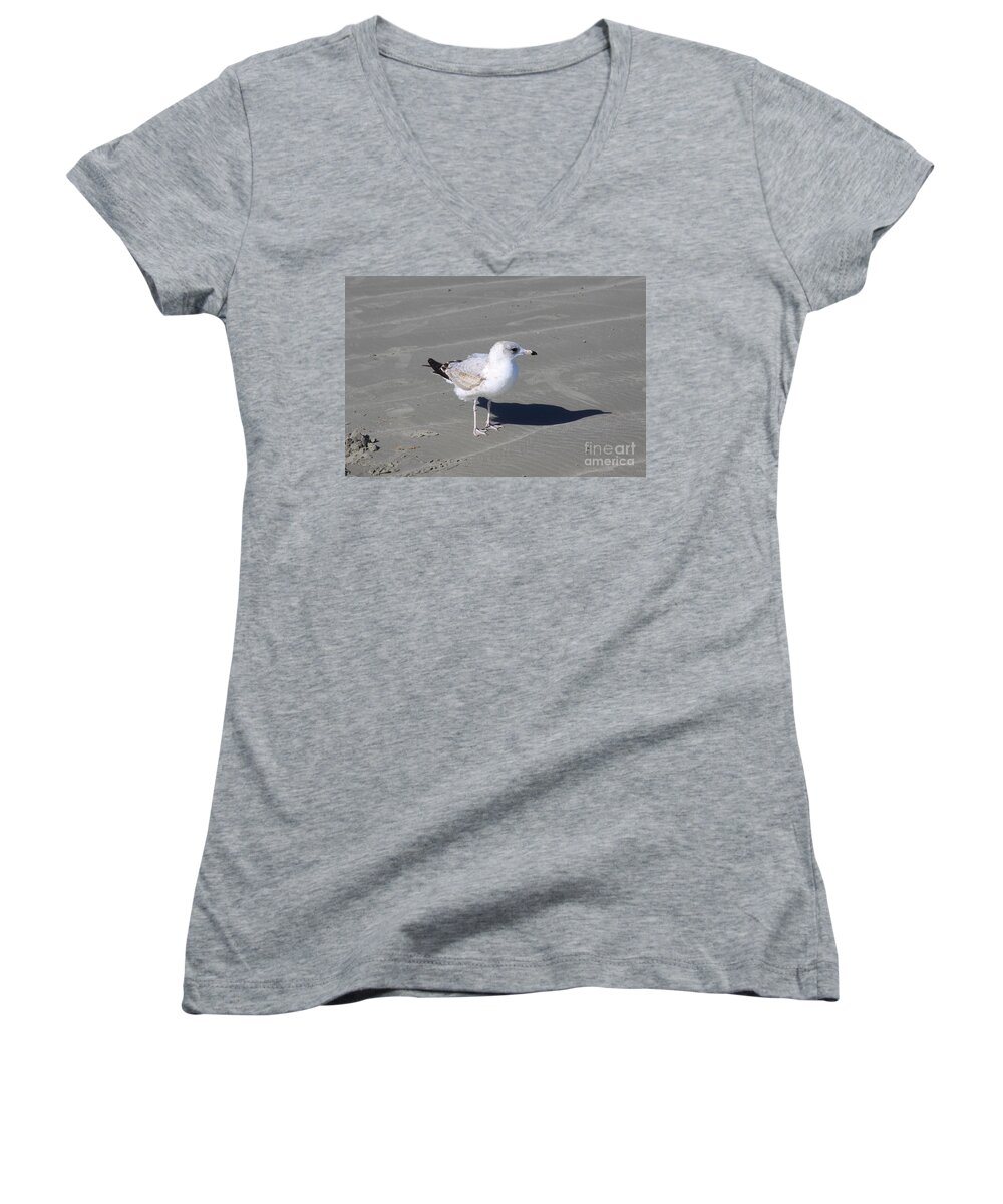 Seagull Women's V-Neck featuring the pyrography Seagull on the Hunt by Chris Thomas