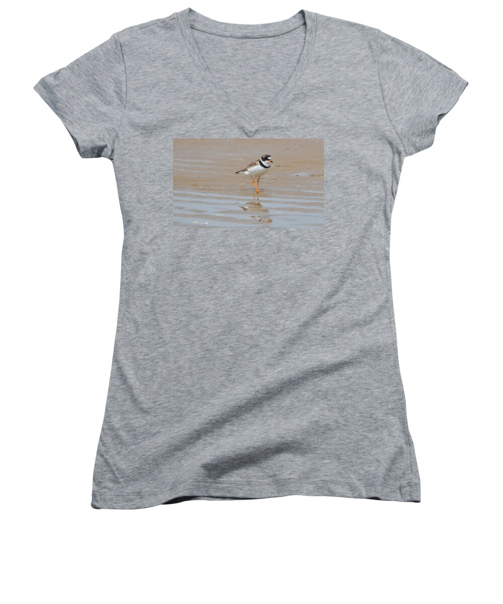 Birds Women's V-Neck featuring the photograph Semipalmated Plover by James Petersen