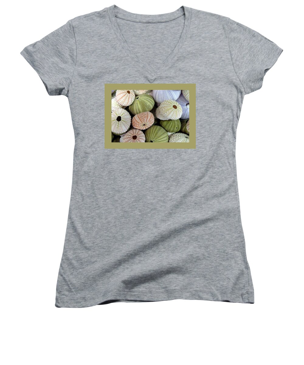 Shells Women's V-Neck featuring the photograph Shells 5 by Carla Parris