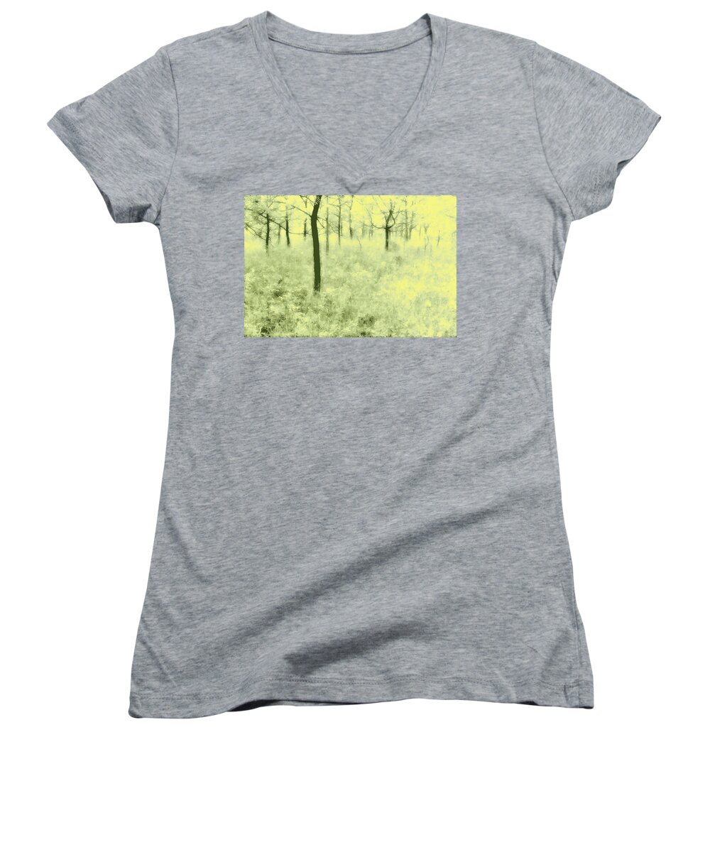 Trees Women's V-Neck featuring the photograph Shimmering Spring Day by John Hansen