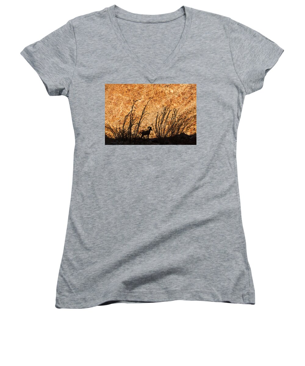 Animal Women's V-Neck featuring the photograph Silhouette Bighorn Sheep by John Wadleigh
