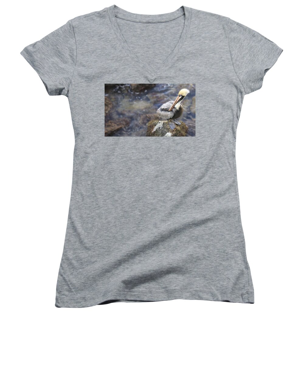 Florida Women's V-Neck featuring the photograph Sitting on a Rock in the Bay by Shelley Neff