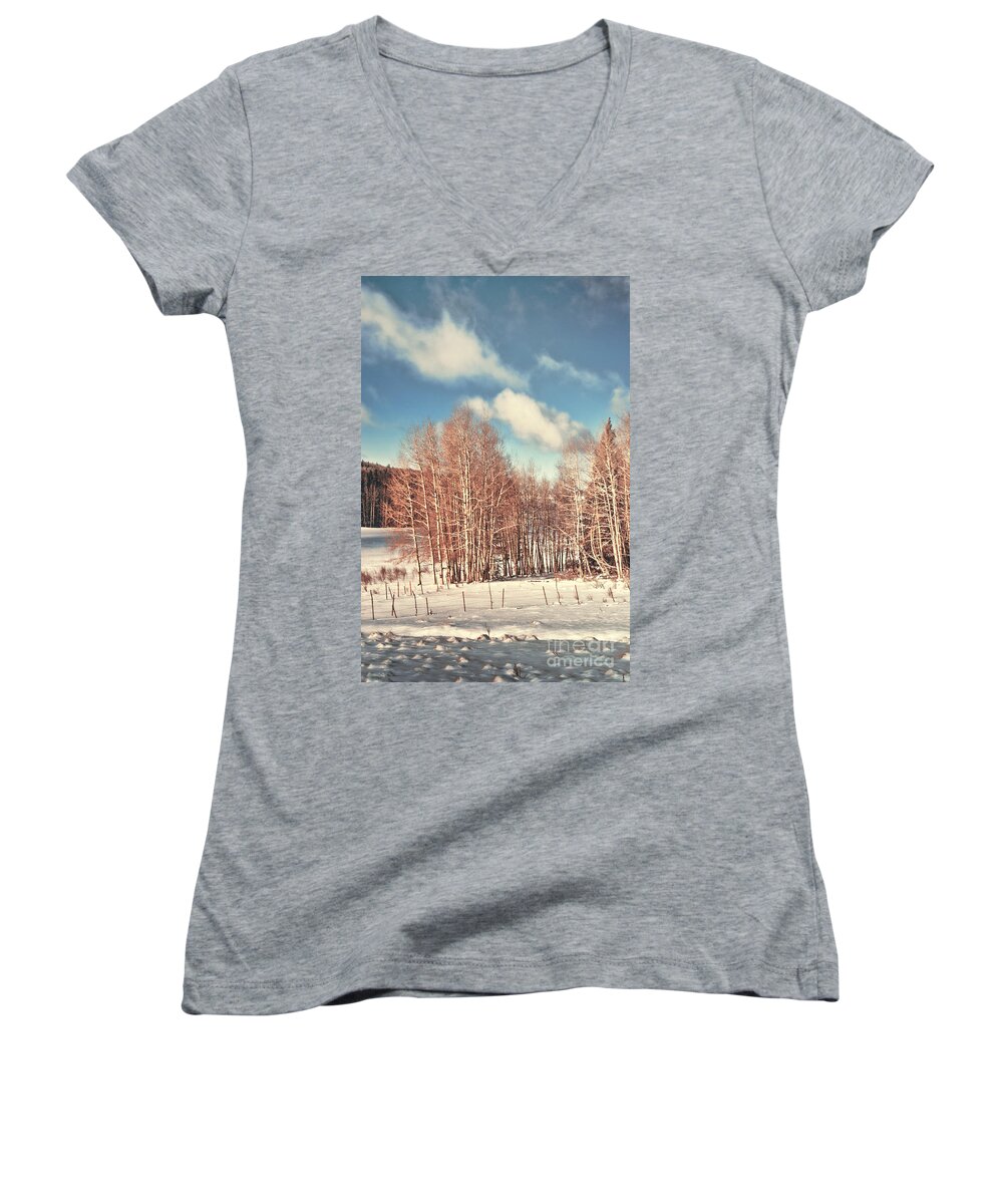 Snow Women's V-Neck featuring the photograph Snowy Aspens by Donna Greene