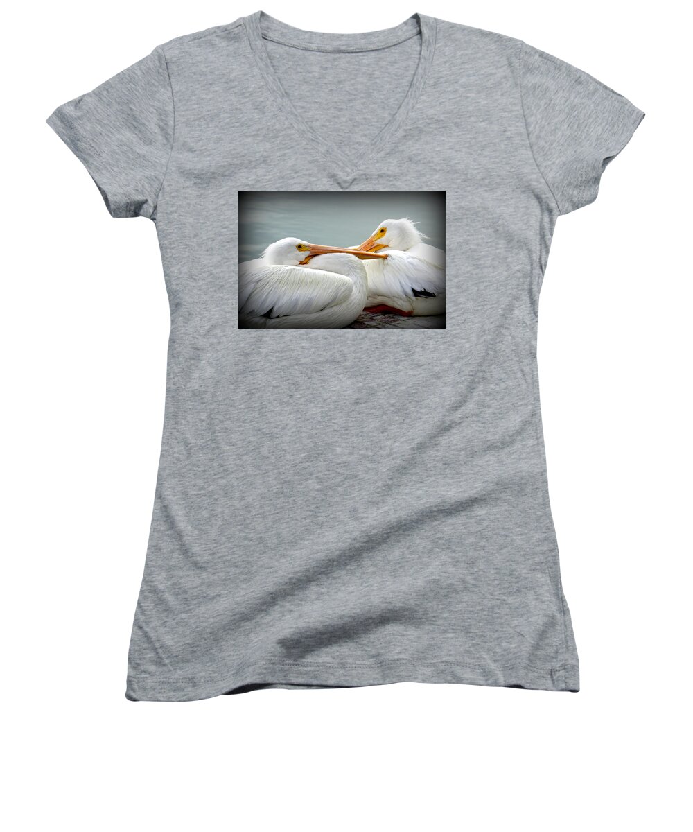 White Pelicans Women's V-Neck featuring the photograph Snuggly Pelicans by Laurie Perry