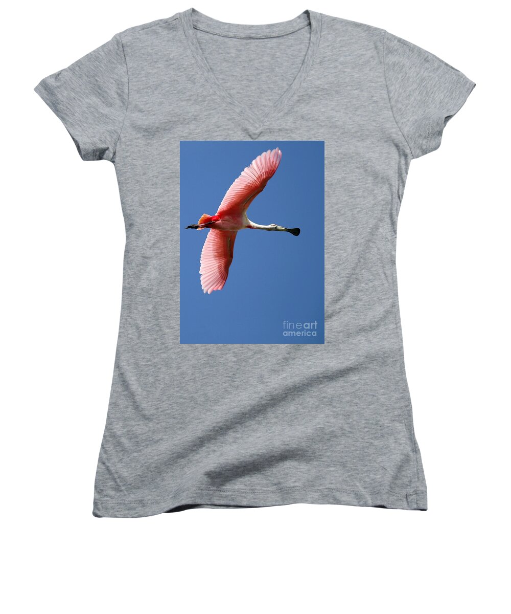 Animal Women's V-Neck featuring the photograph Soaring High Roseate Spoonbill by Sabrina L Ryan