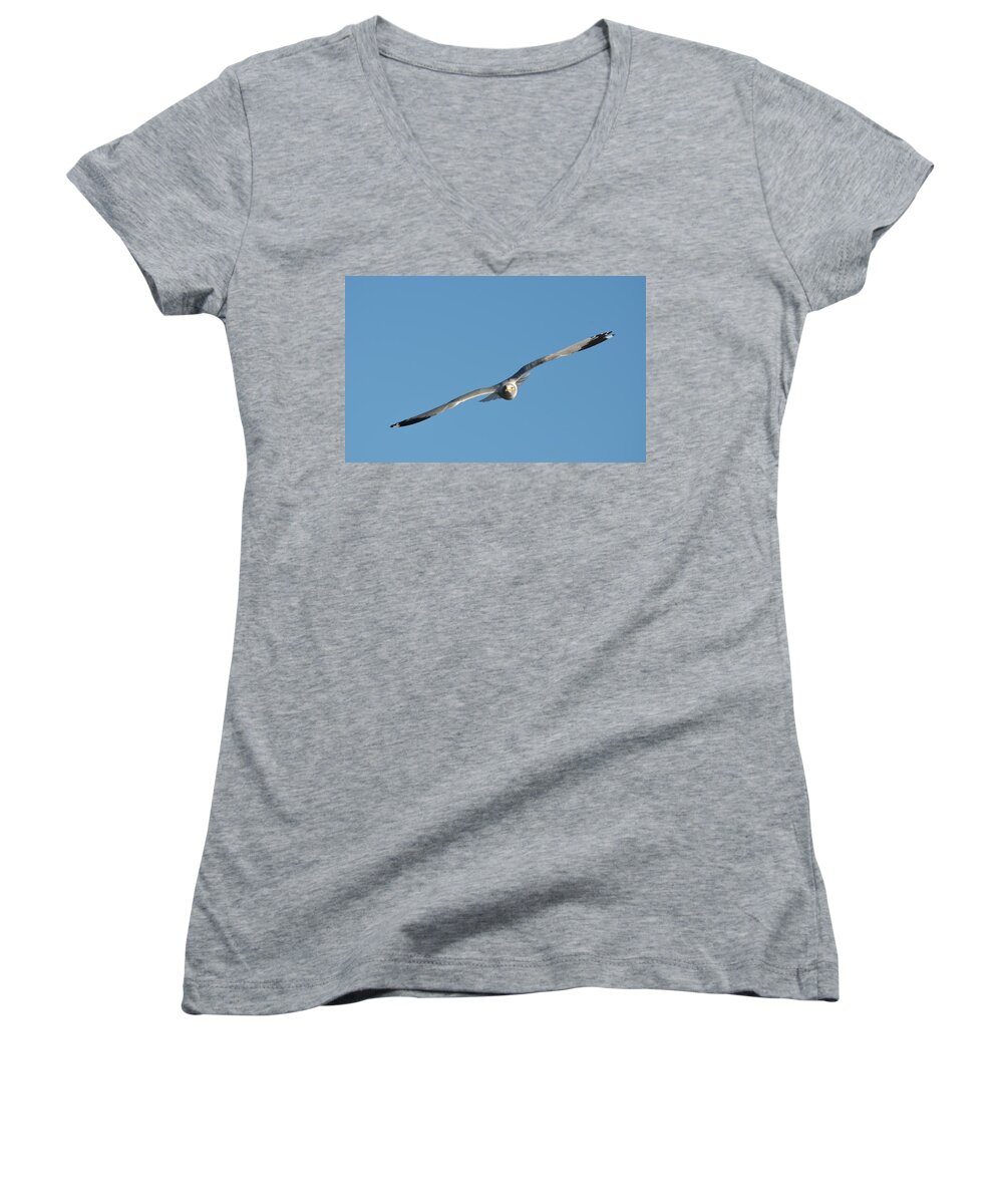 Wing Women's V-Neck featuring the photograph Soaring Seagull by Richard Bryce and Family