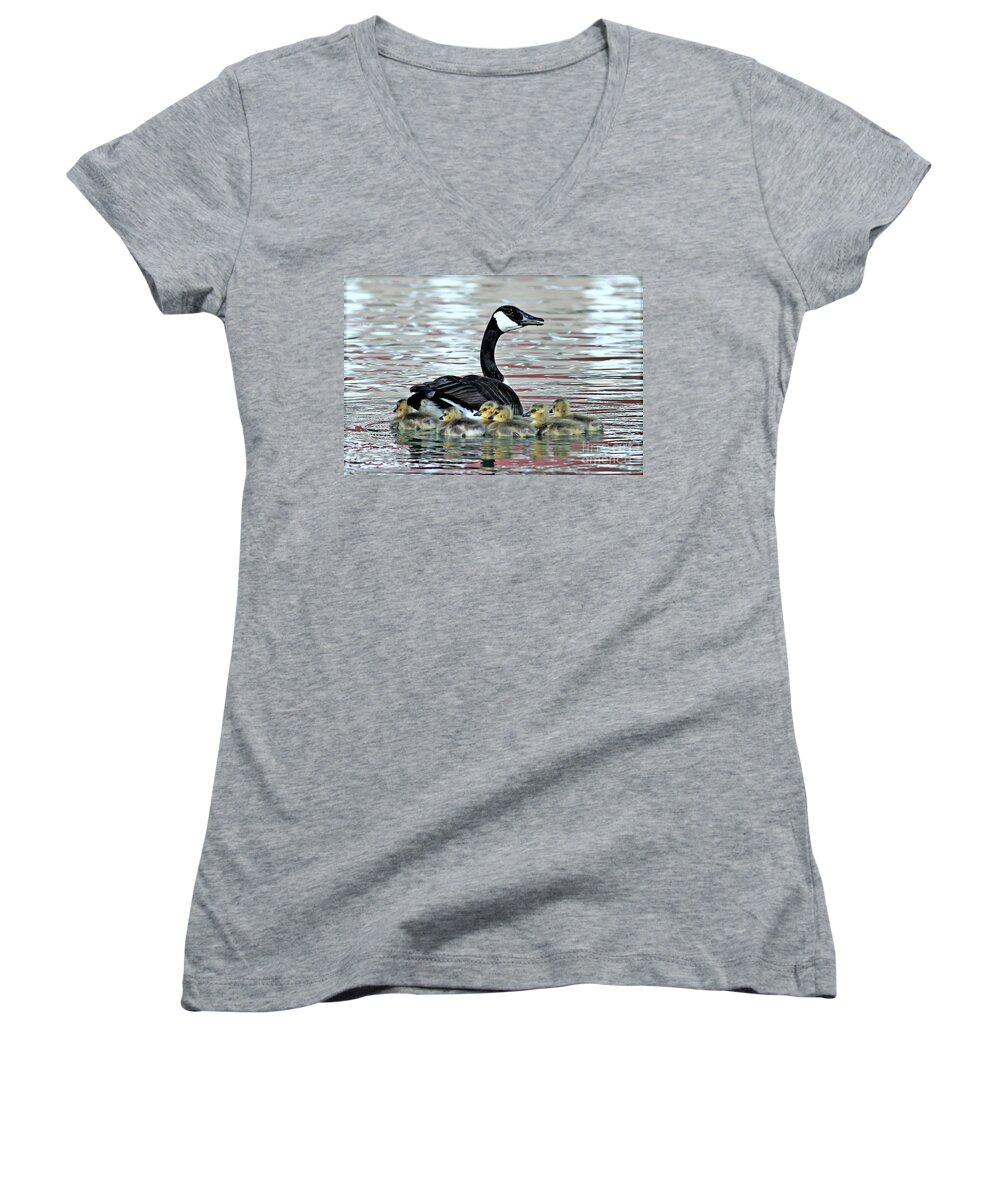 Canada Goose Women's V-Neck featuring the photograph Spring's First Goslings by Elizabeth Winter