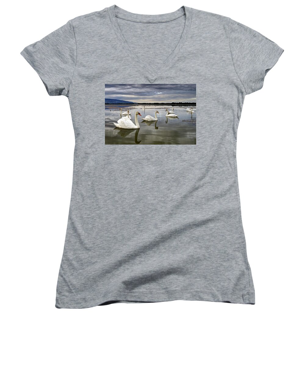 Water Women's V-Neck featuring the photograph Swans by Ivan Slosar