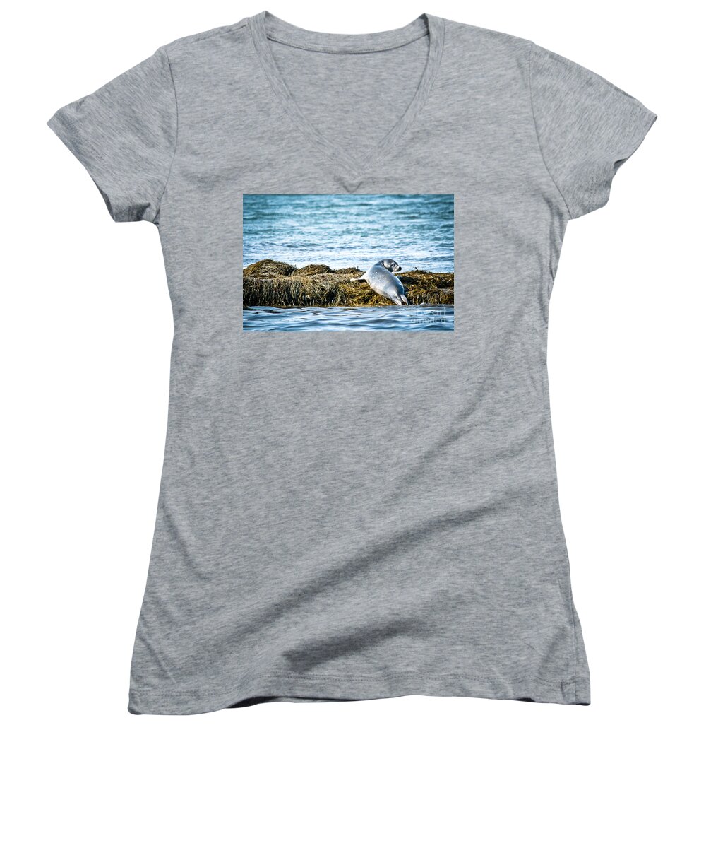  Women's V-Neck featuring the photograph Sweet Seal by Cheryl Baxter