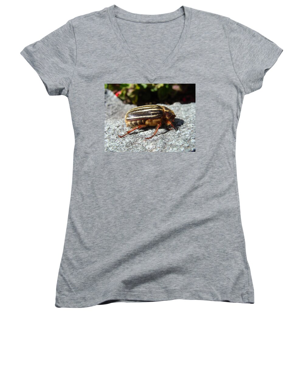 Ten Lined Women's V-Neck featuring the photograph Ten-lined June Beetle profile by Cheryl Hoyle