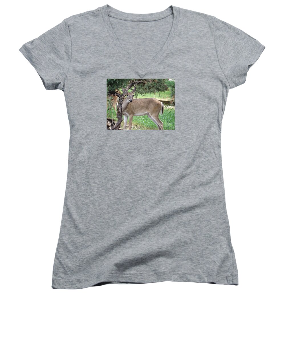 Deer Women's V-Neck featuring the photograph Texas Beauty - White tail Doe by Ella Kaye Dickey