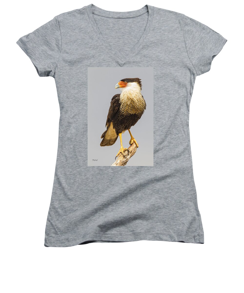 Bird Women's V-Neck featuring the photograph Texas Crested Cara Cara by Fred J Lord