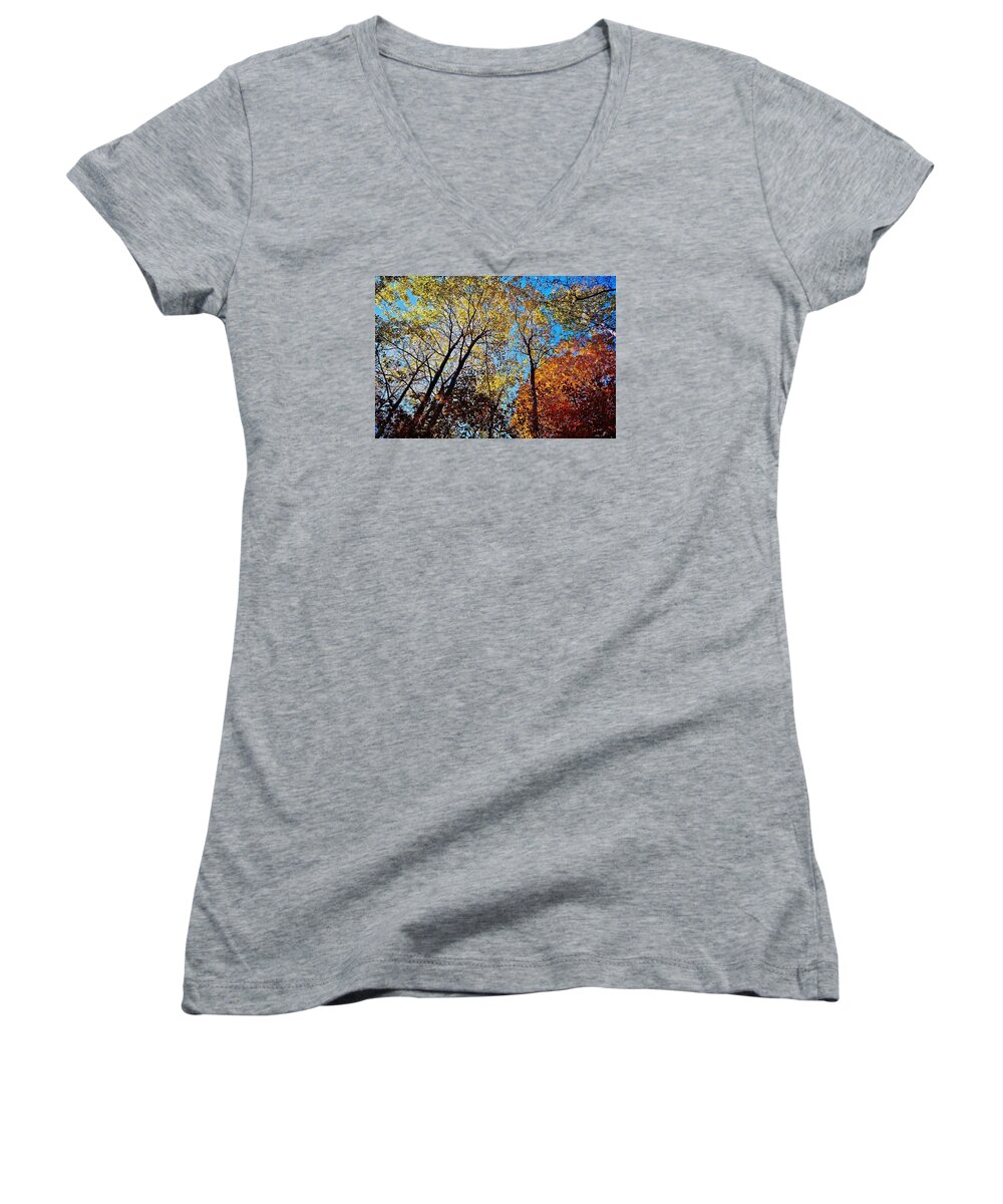 Fall Colours Women's V-Neck featuring the photograph The Canopy by Daniel Thompson