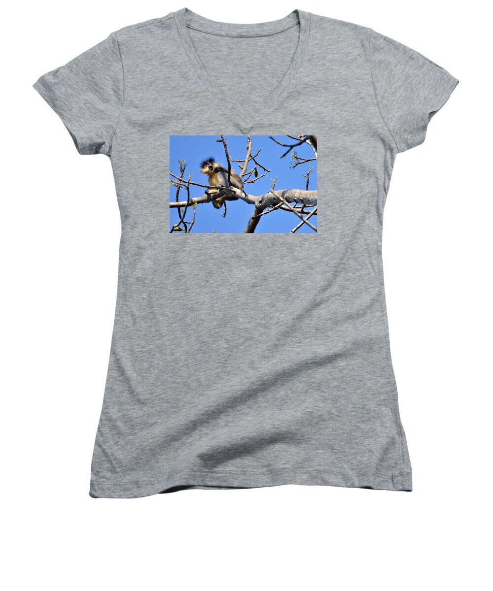 Capped Langur Women's V-Neck featuring the photograph The Capped One by Fotosas Photography