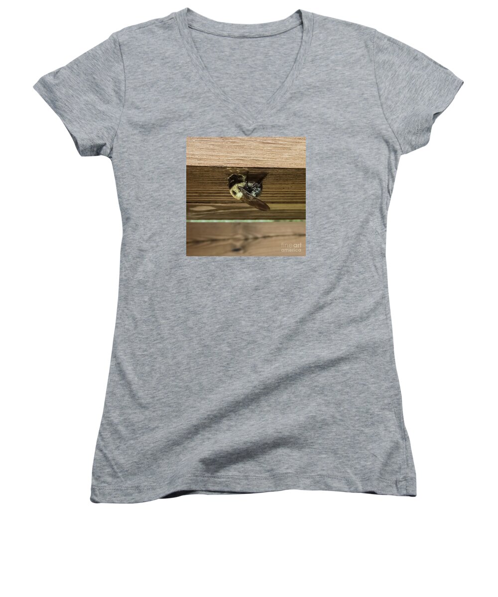 Carpenter Bee Women's V-Neck featuring the photograph The Carpenter by Charlie Cliques