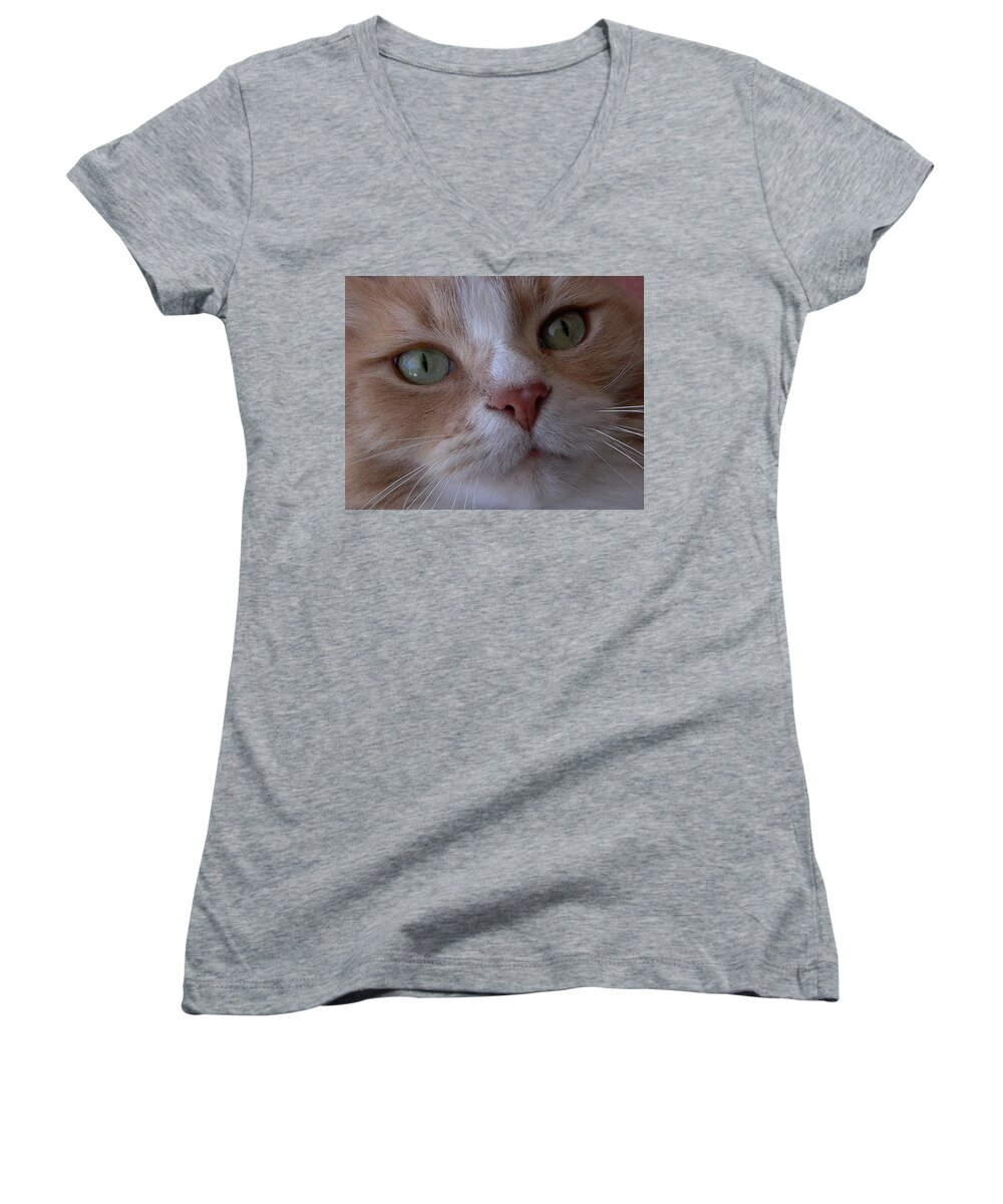 Cat Eyes Women's V-Neck featuring the photograph The Cat Eyes by Dragan Kudjerski