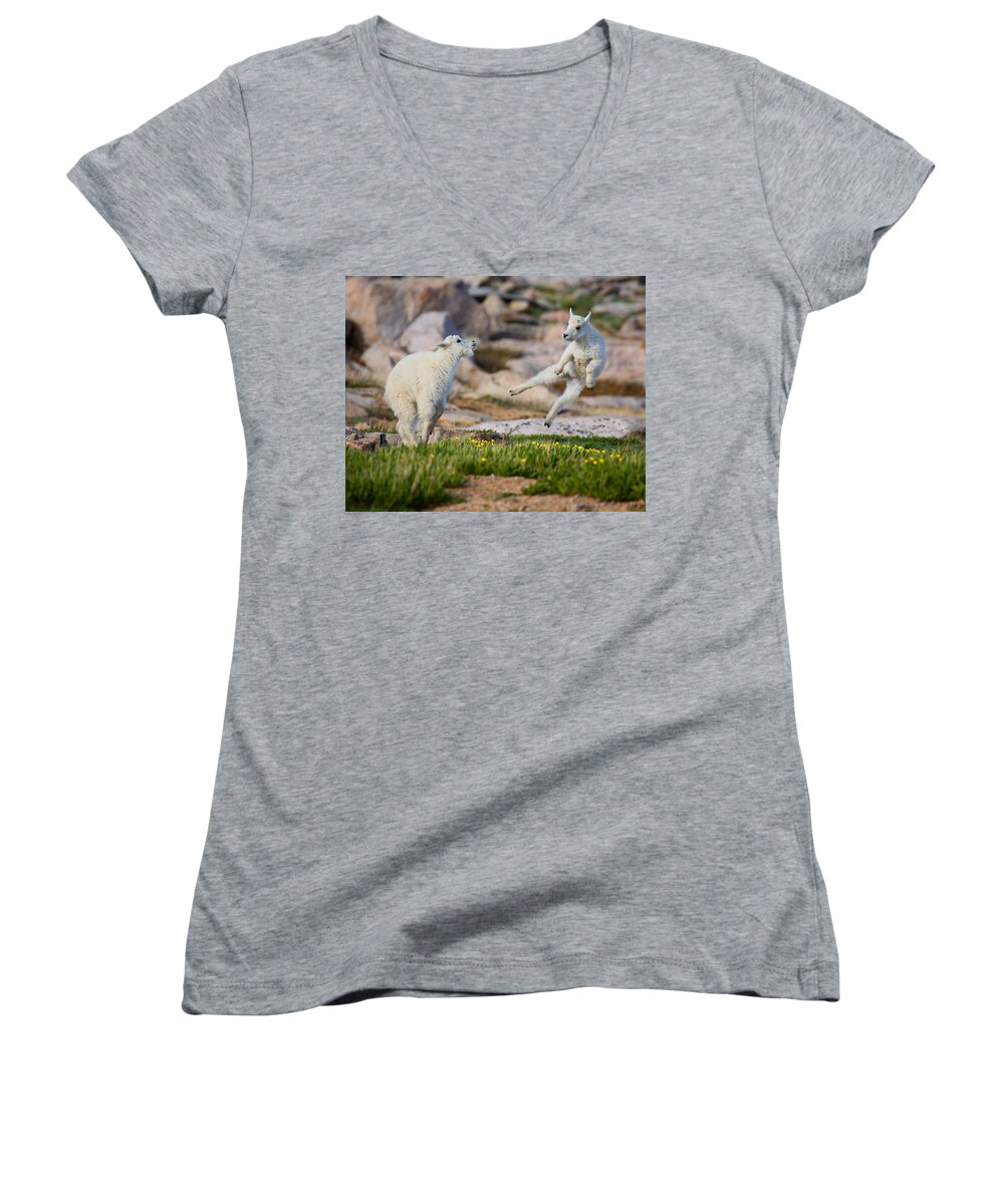 Baby Goat; Mountain Goat Baby; Dance; Dancing; Happy; Joy; Nature; Baby Goat; Mountain Goat Baby; Happy; Joy; Nature; Brothers Women's V-Neck featuring the photograph The Dance of Joy by Jim Garrison