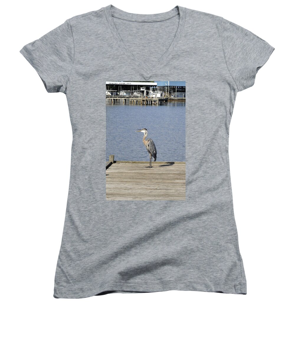 Great Blue Heron Women's V-Neck featuring the photograph The Great Blue Heron by Verana Stark