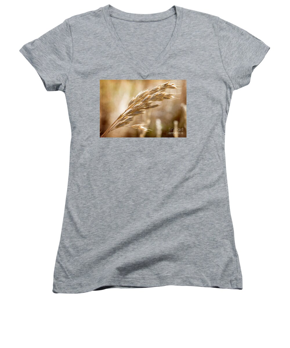 Grass Women's V-Neck featuring the photograph The hot gold hush of noon by Linda Lees