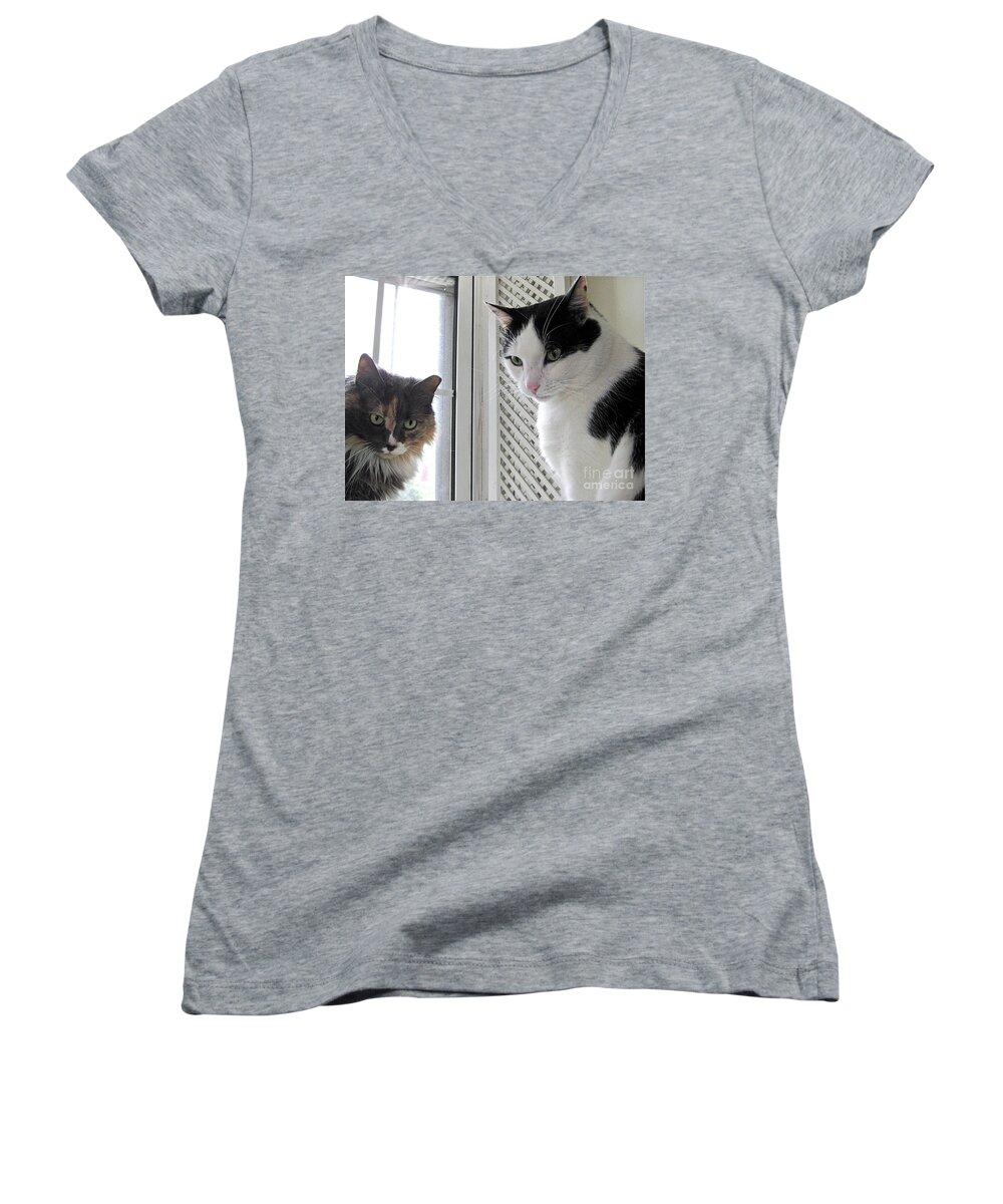 Stray Cat Couple Women's V-Neck featuring the photograph The Parents by Byron Varvarigos