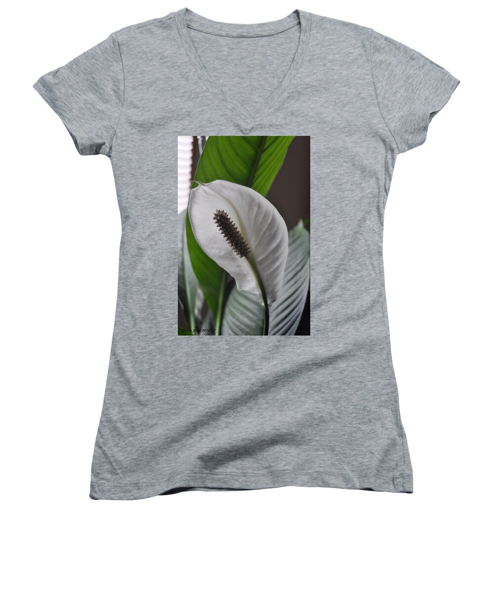 Peace Lily Women's V-Neck featuring the photograph The Peace Lily by Verana Stark
