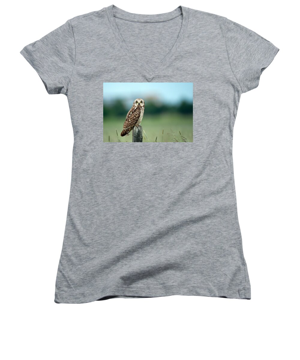 Short Eared Owl Women's V-Neck featuring the photograph The short-eared owl by Torbjorn Swenelius