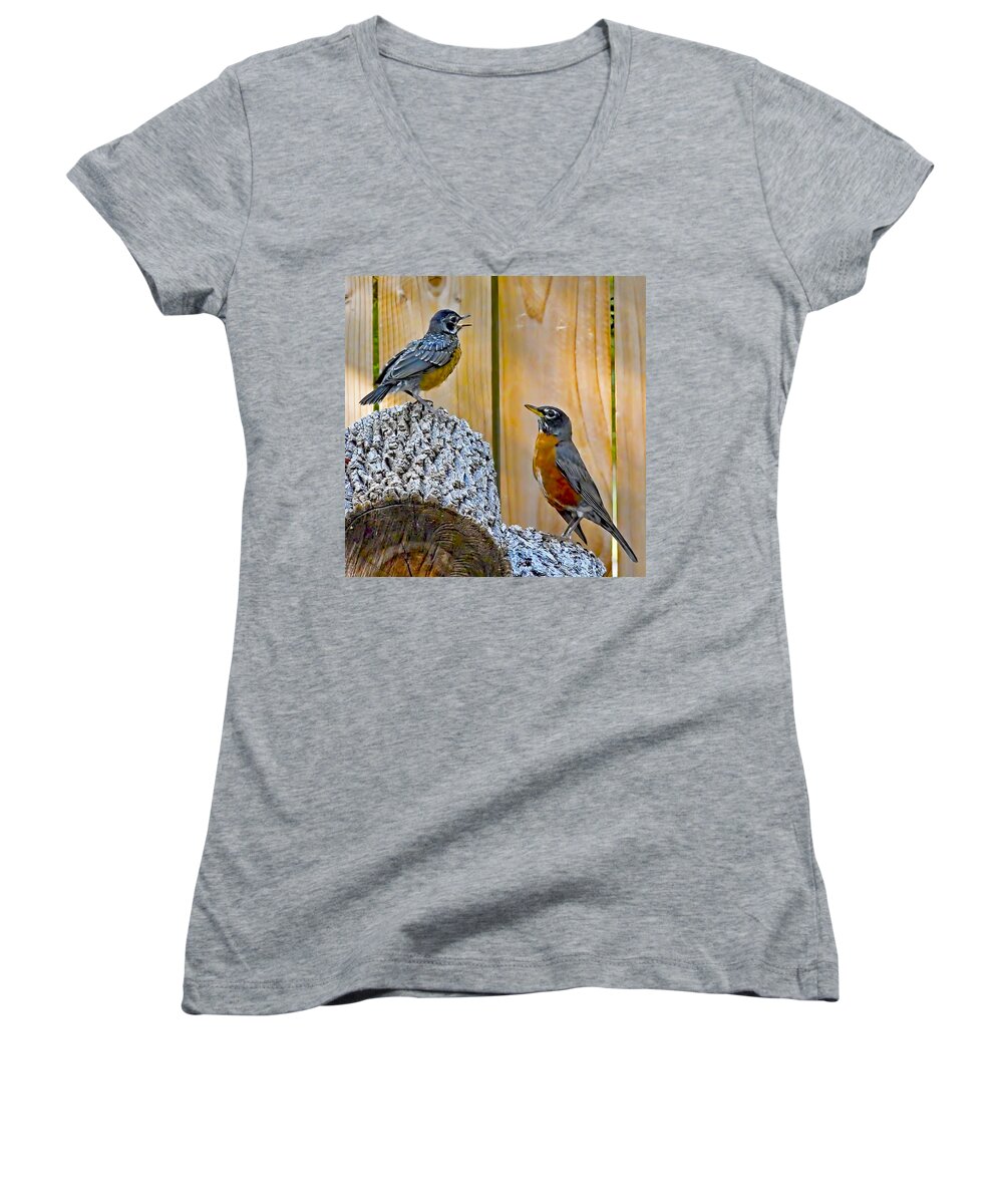 Voice Women's V-Neck featuring the photograph The Voice Lesson by Gary Holmes