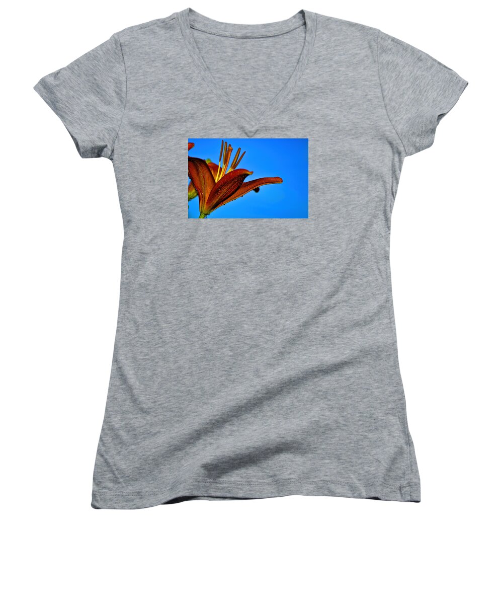 Day Lily Women's V-Neck featuring the photograph Thirsty Lily in HDR ART by Lesa Fine