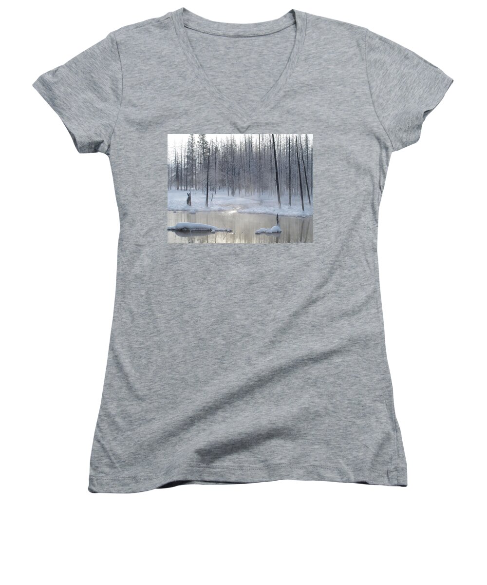 Trees Women's V-Neck featuring the photograph Trees Of Winter by Philip And Robbie Bracco